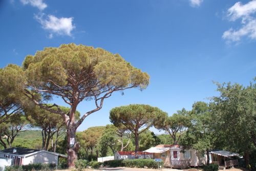 Parc Saint James Parc Montana