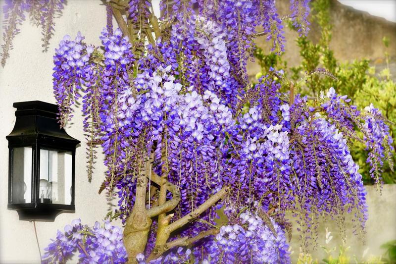 Maison - 200 m² - 8 pièces