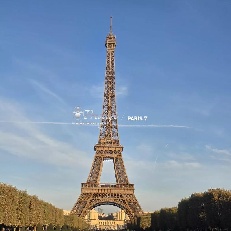 Appartement - 15 m² - 1 pièce