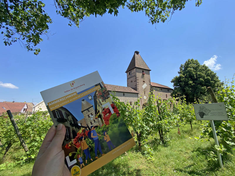 Balade ludique - la cité des 3 merles