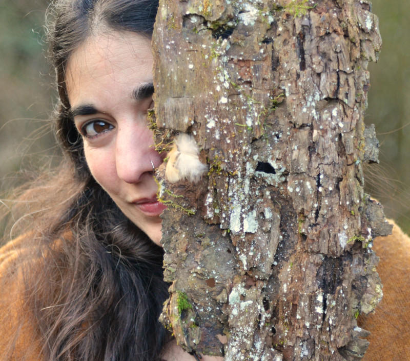 Spectacle de conte “Le bois perdu”