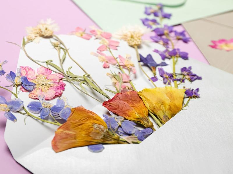 Atelier Diy - Création en fleurs séchées