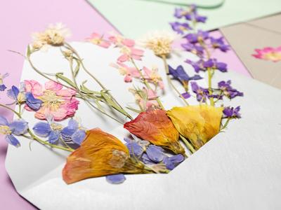 Atelier Diy - Création en fleurs séchées