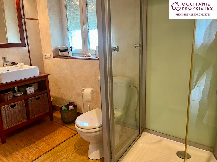 Corps de ferme - 343 m² - 10 pièces