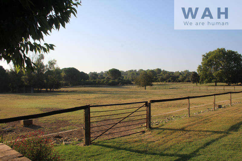 Propriété - 168 m² - 4 pièces