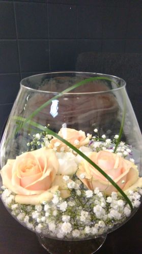 Jasmin fleurs et déco