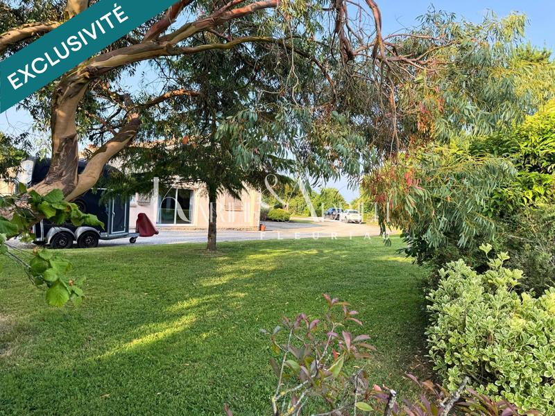 Maison - 216 m² - 7 pièces