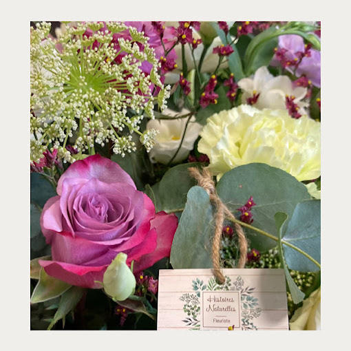 Histoires Naturelles