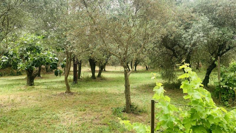 Terrain constructible - 400 m²