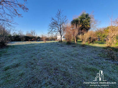 Maison - 150 m² - 4 pièces