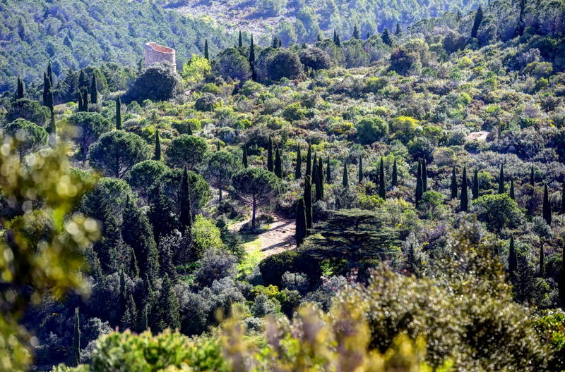 Maison - 137 m² - 4 pièces