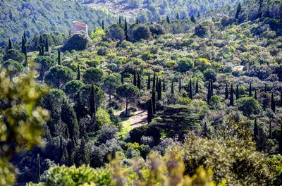 Maison - 137 m² - 4 pièces