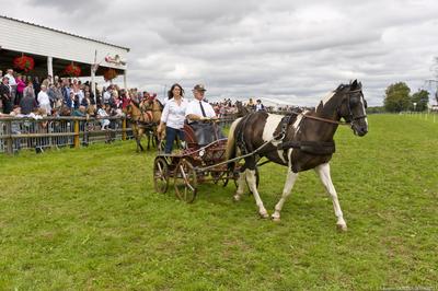 Concours d'Attelage