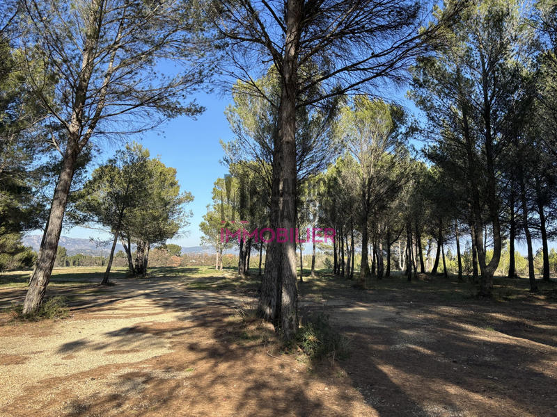 Villa - 88 m² - 3 pièces