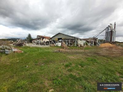 Local d'activité / Entrepôt - 1 000 m²