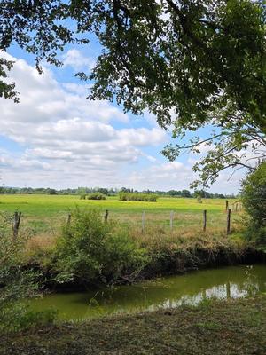 Haras - 130 m² - 7 pièces