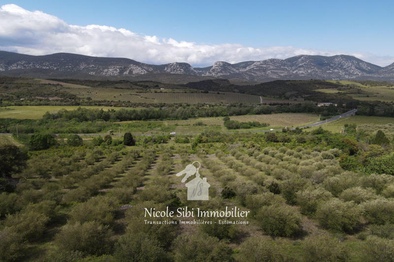 Terrain agricole - 45 557 m²