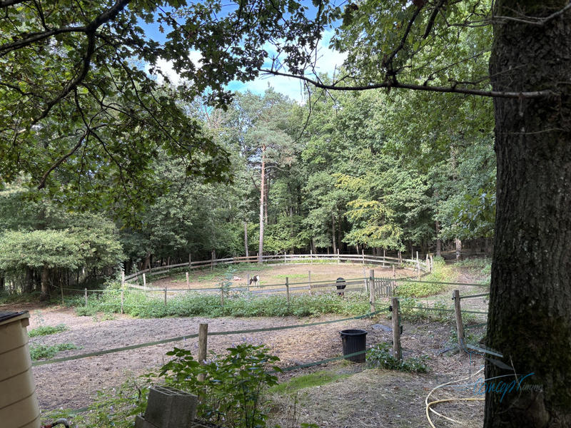 Maison ancienne - 370 m² - 12 pièces