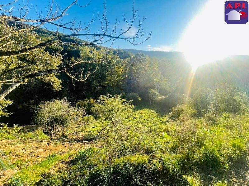 Maison contemporaine - 270 m² - 4 pièces