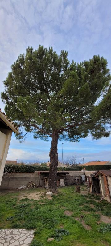 Villa - 170 m² - 6 pièces