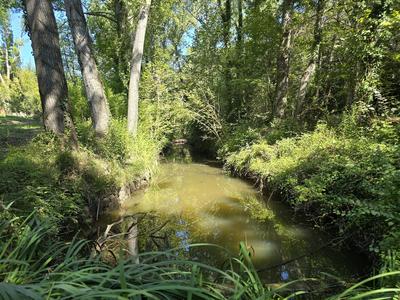 Maison - 360 m² - 8 pièces