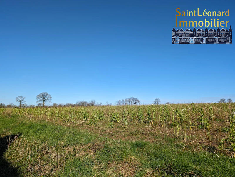 Maison traditionnelle - 130 m² - 1 pièce