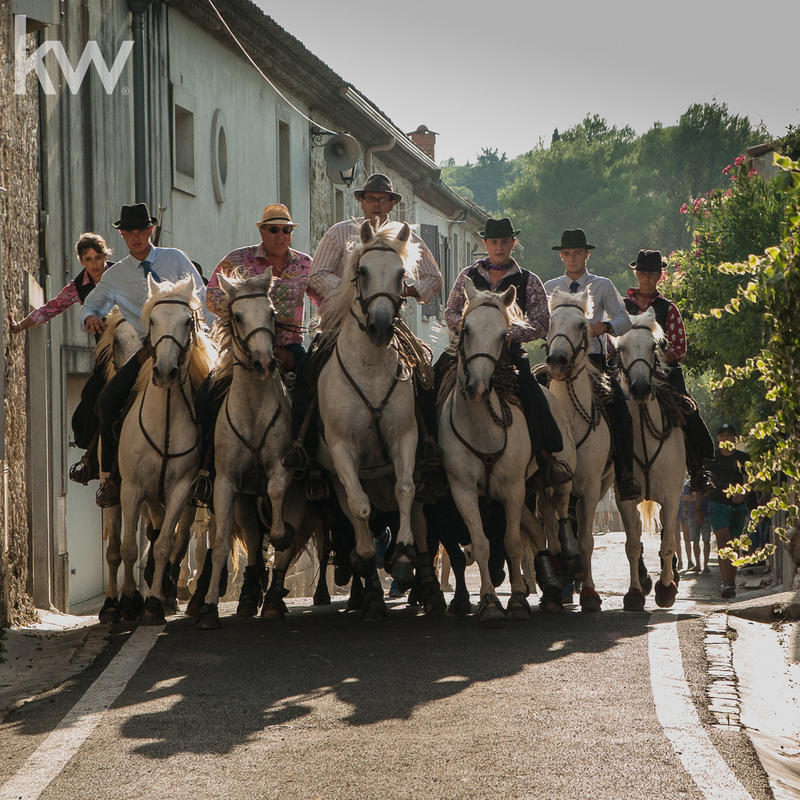 Fonds de commerce - Magasins - 8 978 m²
