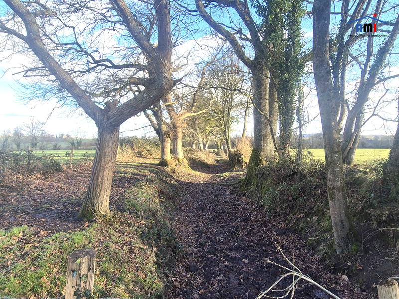 Maison ancienne - 197 m² - 7 pièces