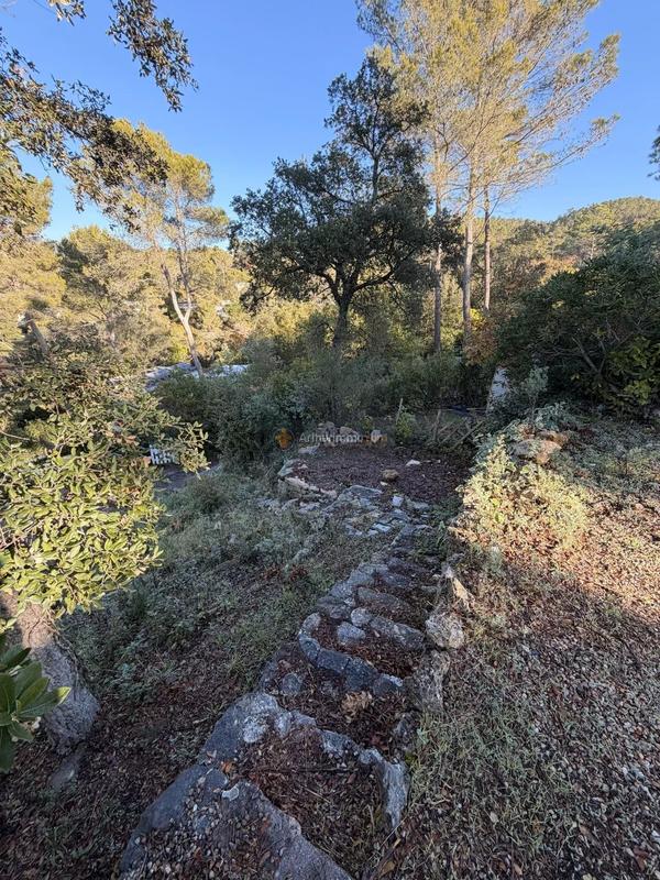 Appartement - 232 m²