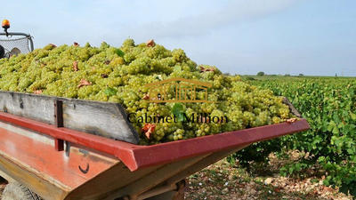 Mas - 186 m² - 7 pièces