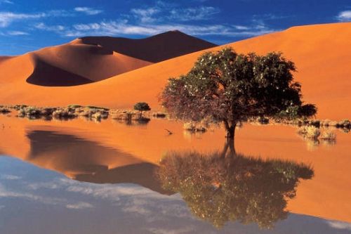 Elsa Prohom - Cabinet Terra Humana