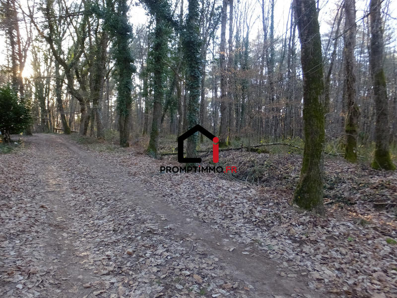 Châlet - 43 m² - 2 pièces