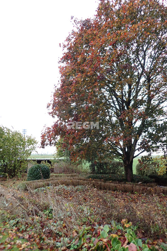 Maison - 280 m² - 7 pièces