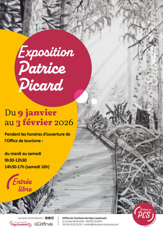 Exposition de Patrice Picard