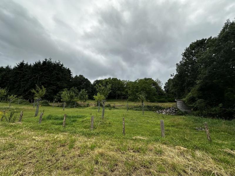 Terrain - 57 753 m²