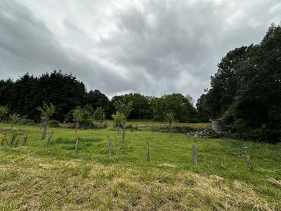 Terrain - 57 753 m²