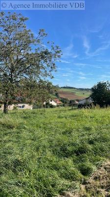 Terrain constructible - 446 m²