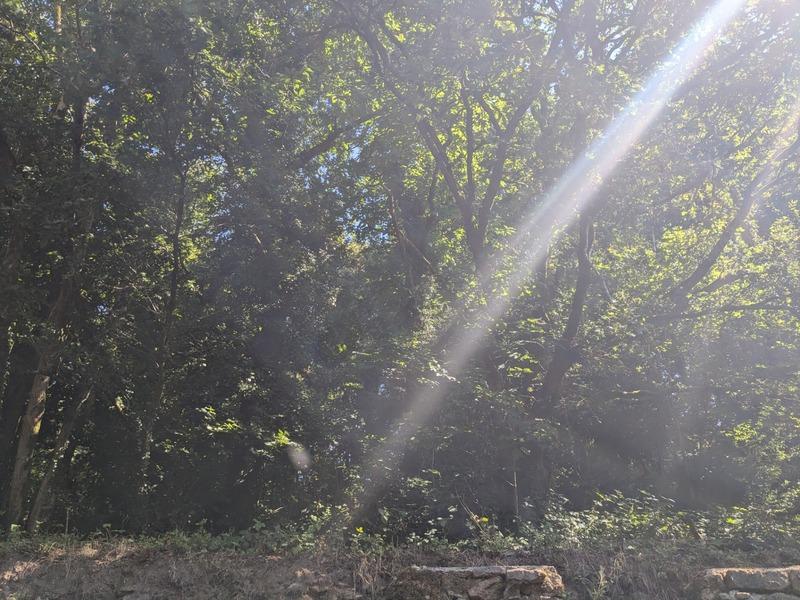 Longère - 1 m² - 1 pièce