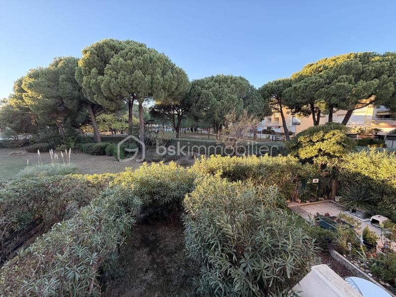 Studio - 23 m² - 1 pièce