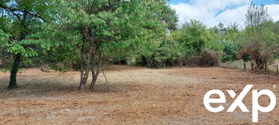 Maison - 125 m² - 1 pièce