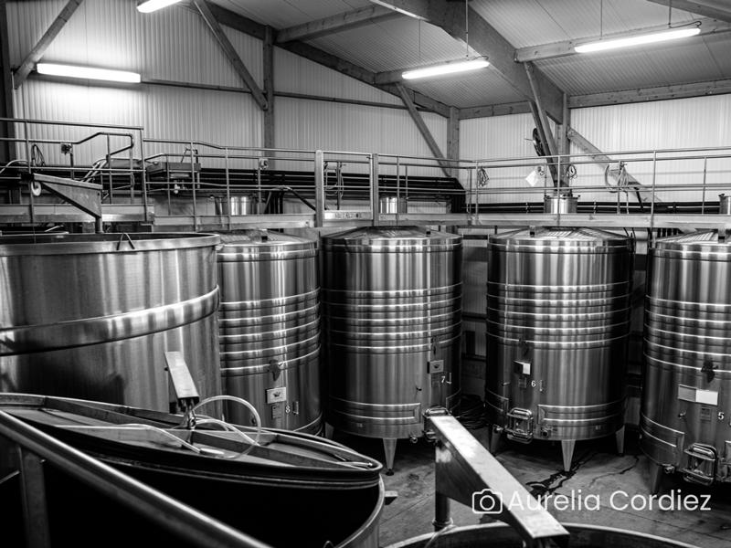 Visite-dégustation : Visite du domaine et histoire de l'appellation