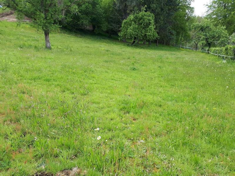 Terrain constructible - 7 000 m²