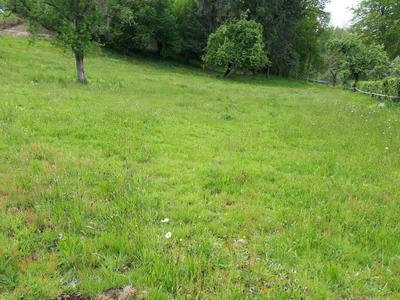 Terrain constructible - 7 000 m²