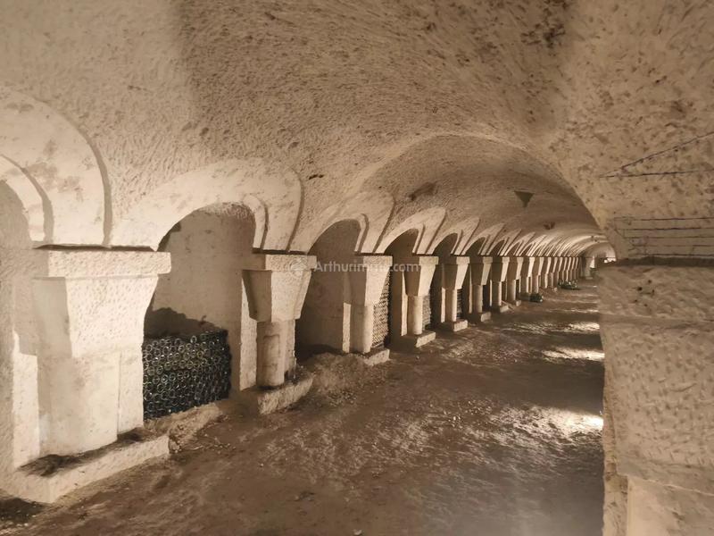 Maison - 295 m² - 10 pièces