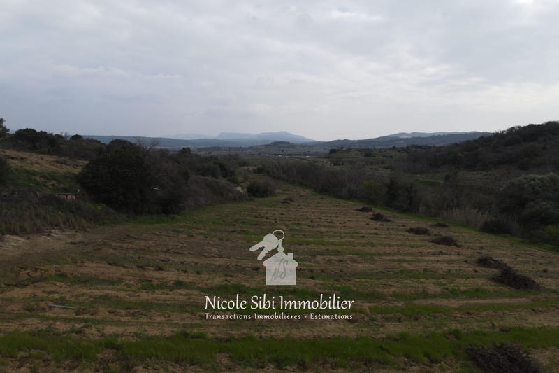 Terrain agricole - 40 428 m²