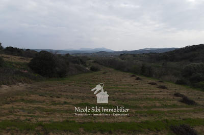 Terrain agricole - 40 428 m²