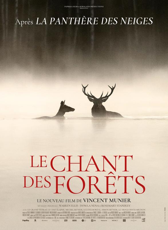 Cinéma chez Nous : documentaire "Le chant des forêts"