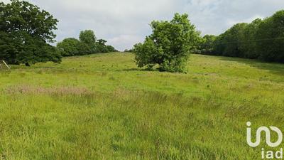 Maison - 327 m² - 11 pièces