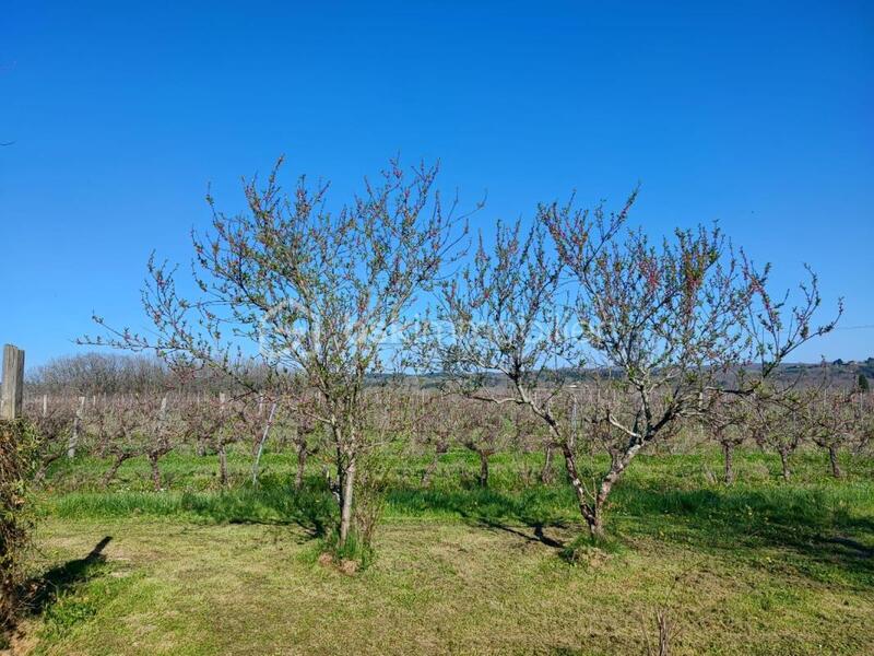 Maison - 98 m² - 5 pièces