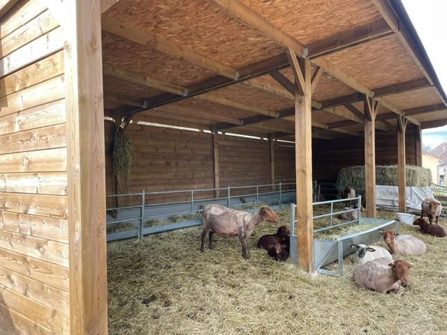 Ferme - 200 m² - 7 pièces